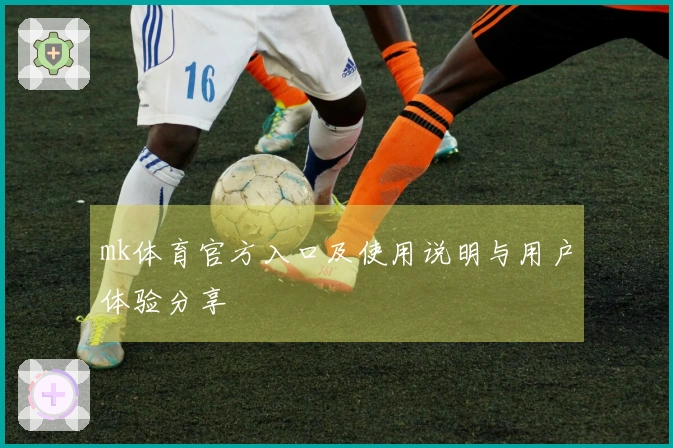 mk体育官方入口及使用说明与用户体验分享