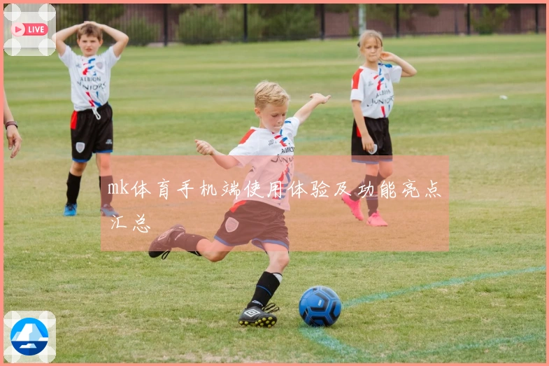 mk体育手机端使用体验及功能亮点汇总