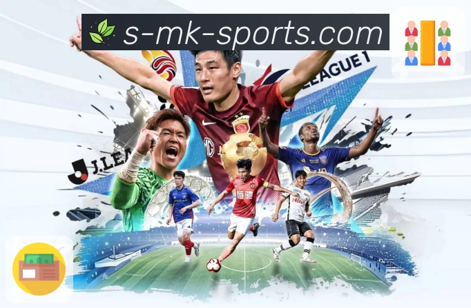 mk体育APP 封面图